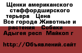 Щенки американского стаффордширского терьера › Цена ­ 20 000 - Все города Животные и растения » Собаки   . Адыгея респ.,Майкоп г.